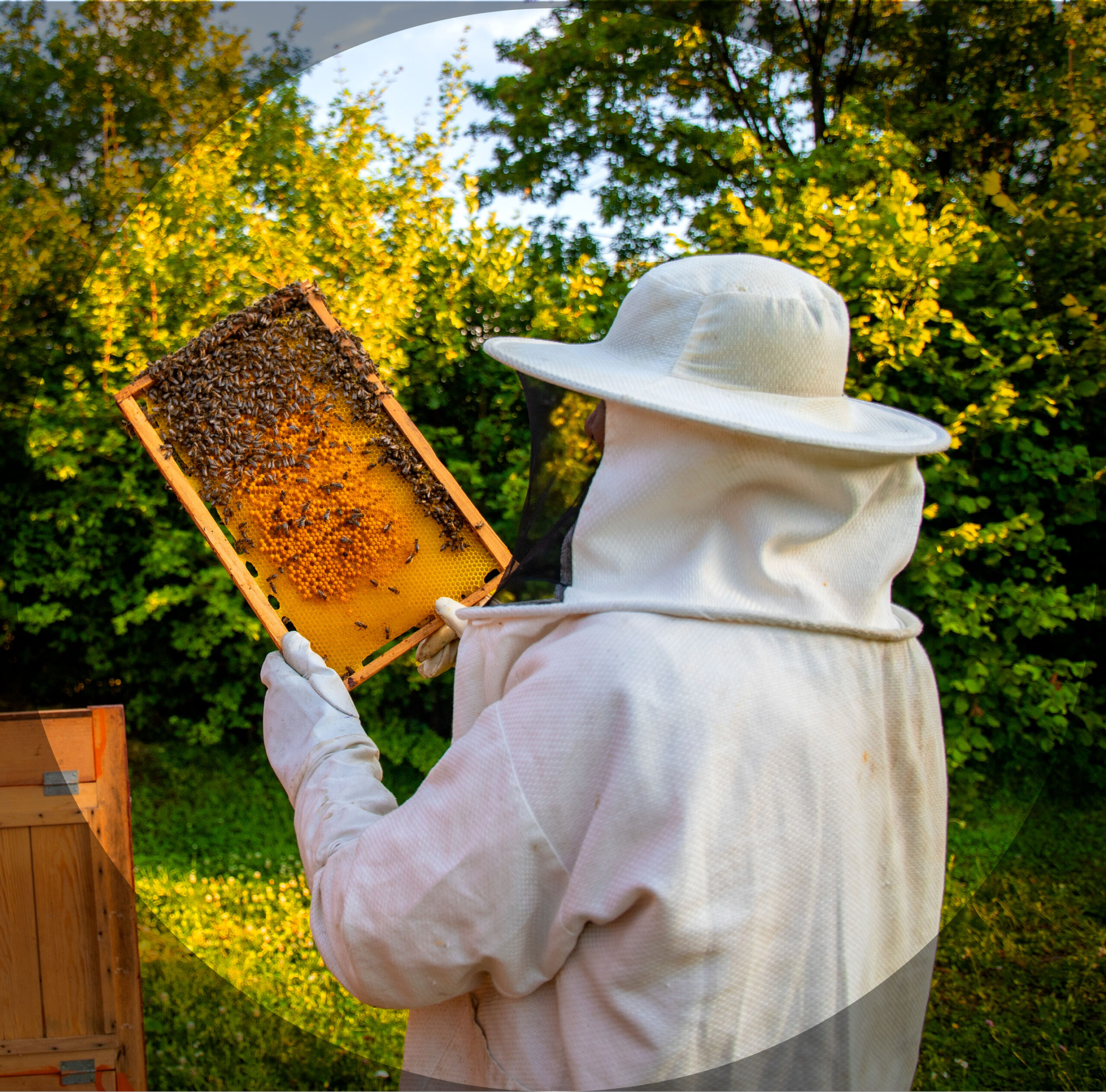 AMBIENTE-E-AGRICOLTURA