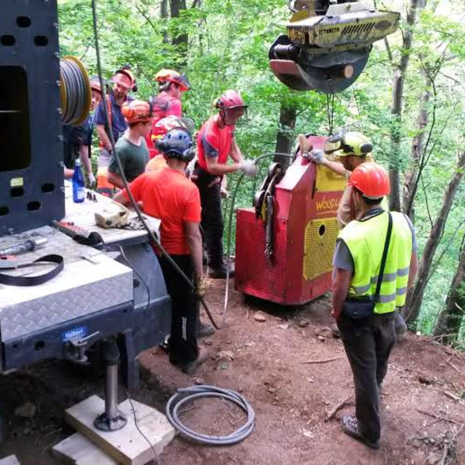 UF F6: OPERATORE FORESTALE Sviluppo Rurale del Piemonte 2023-2027