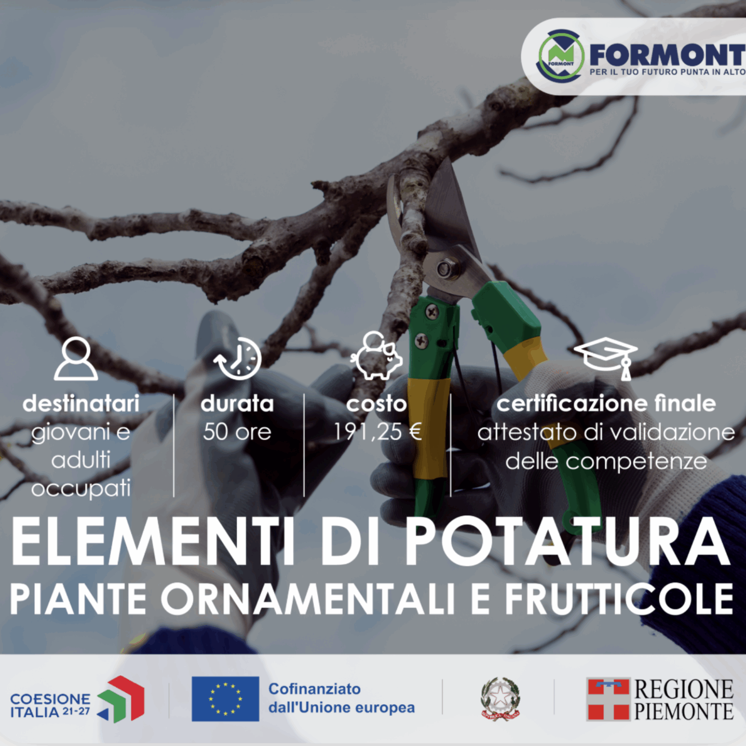 ELEMENTI DI POTATURA Piante ornamentali e frutticole