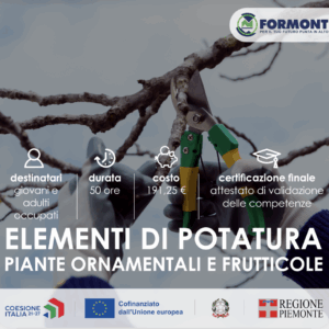 ELEMENTI DI POTATURA Piante ornamentali e frutticole