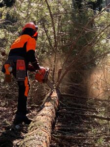 UF F2: UTILIZZO IN SICUREZZA DELLA MOTOSEGA NELLE OPERAZIONI DI ALLESTIMENTO(Corso a pagamento)