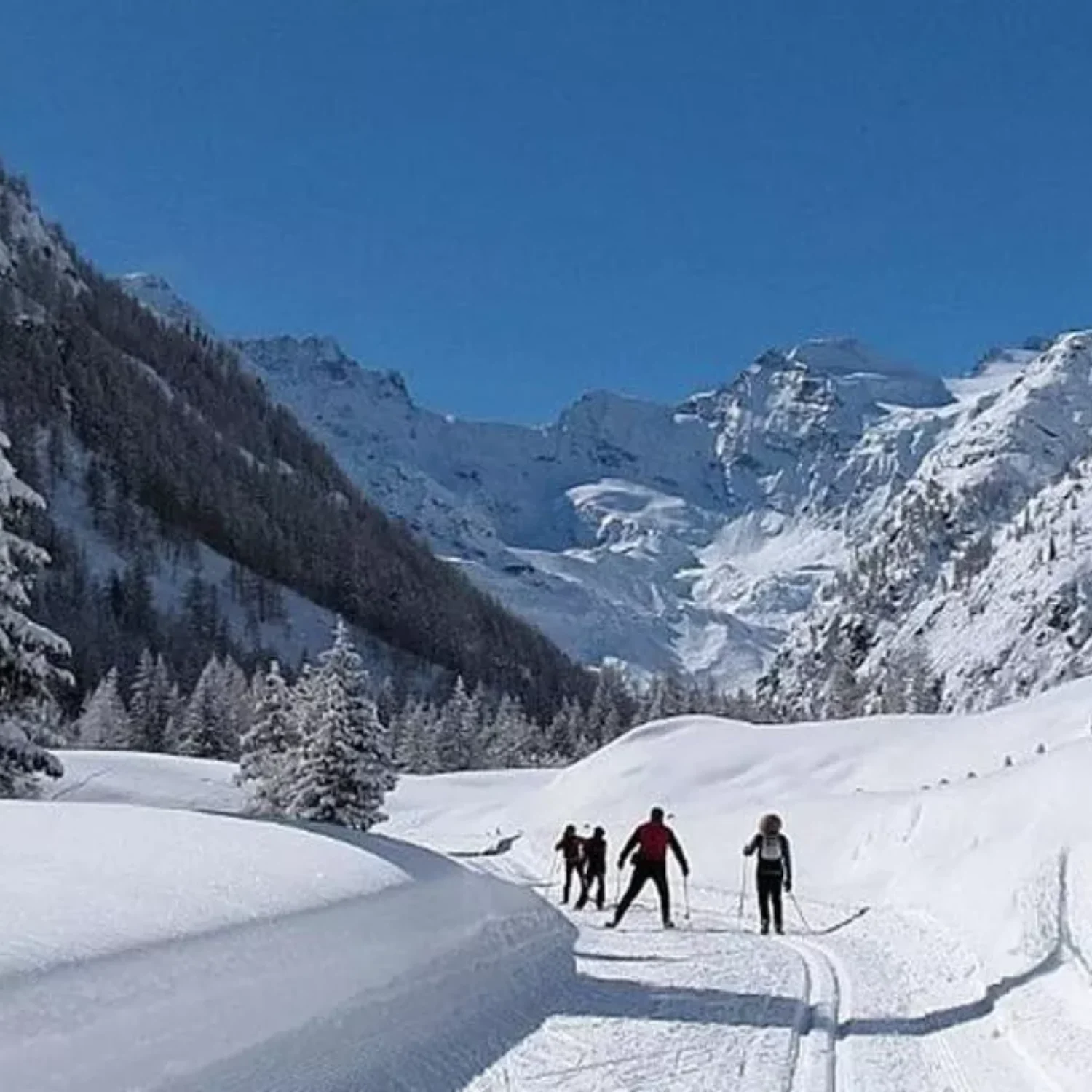 DIRETTORE DELLE PISTE DA SCI DI FONDO