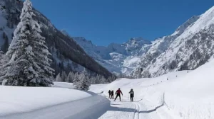 DIRETTORE DELLE PISTE DA SCI DI FONDO