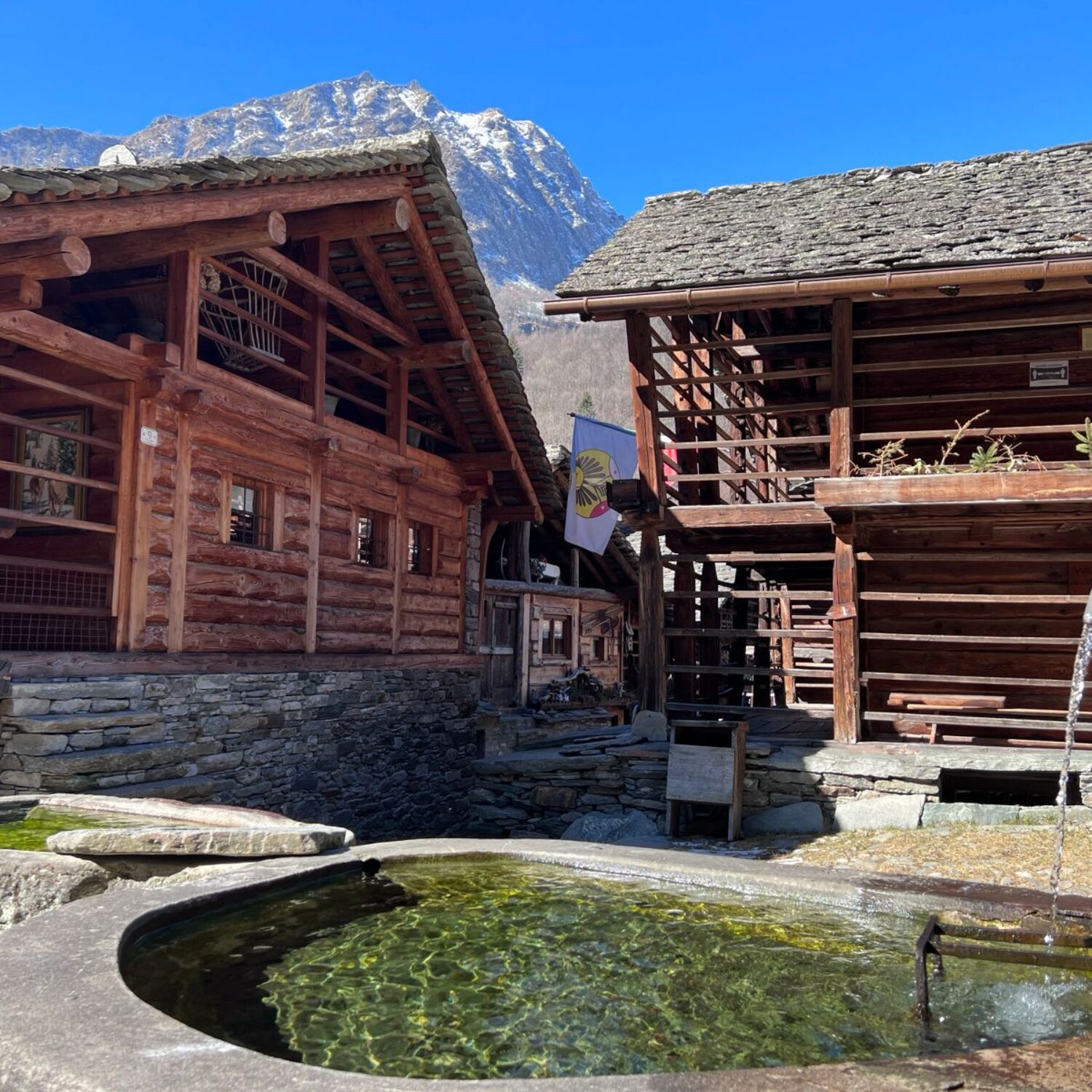 AGGIORNAMENTO ACCOMPAGNATORE NATURALISTICO O GUIDA ESCURSIONISTICA AMBIENTALE (Approfondimento su Alagna Valsesia, Walser, siti minerari, scienza in quota)