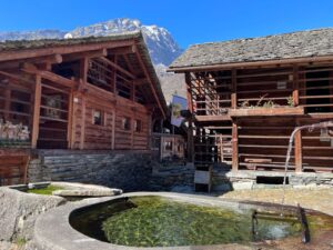 AGGIORNAMENTO ACCOMPAGNATORE NATURALISTICO O GUIDA ESCURSIONISTICA AMBIENTALE (Approfondimento su Alagna Valsesia, Walser, siti minerari, scienza in quota)