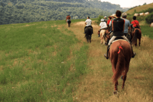 AGGIORNAMENTO ACCOMPAGNATORE DI TURISMO EQUESTRE 2026