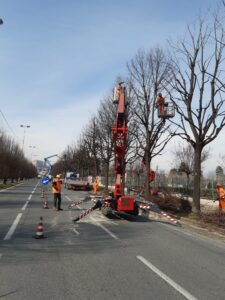 CORSO PER PREPOSTI ADDETTI ALLA PIANIFICAZIONE, CONTROLLO E APPOSIZIONE SEGNALETICA STRADALE PER ATTIVITÀ IN PRESENZA DI TRAFFICO(Corso per preposti movieri)