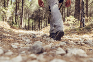 AGGIORNAMENTO ACCOMPAGNATORE NATURALISTICO 2025